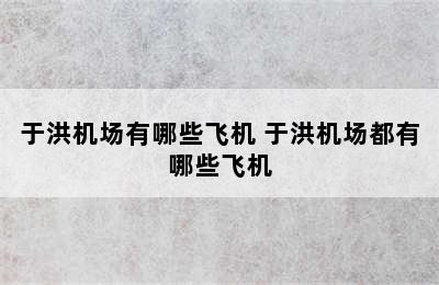 于洪机场有哪些飞机 于洪机场都有哪些飞机